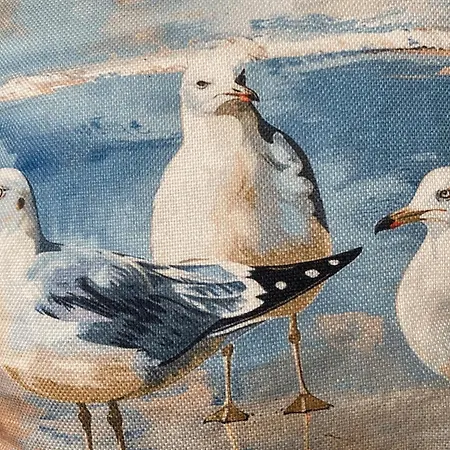 Moewennest * Dahme (Schleswig-Holstein)